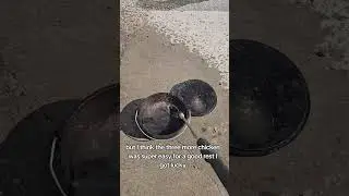 #creatorsearchinsights how to clean cast iron  #castiron #dutchoven #