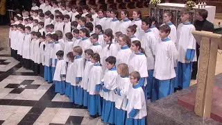 Els Blauets del Santuari de Lluc, a Montserrat.