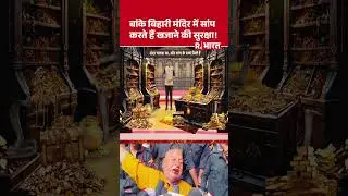 Banke Bihari Khazana : बांके बिहारी मंदिर में सांप करते हैं खजाने की सुरक्षा! | Shorts | Hindi News