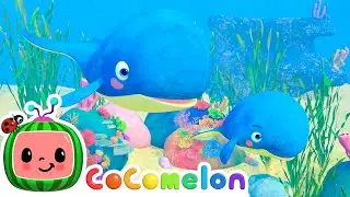 Mom and Baby Blue Whale Lullaby | Best Animal Videos for Kids | Kids Songs and Nursery Rhymes