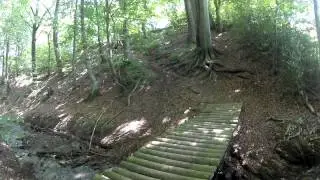 WMTB Teamride Theux 07-07-2014 - Mathias HD720p