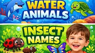 Water Animals & Insect Names for Kids 🐟🐞 | Learn Animal Names | Preschool Learning