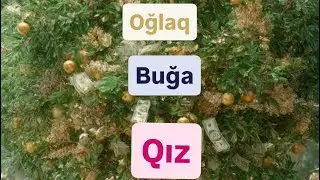 Bürcləri nə gözləyir? OĞLAQ, BUĞA, QIZ♑️♉️♍️