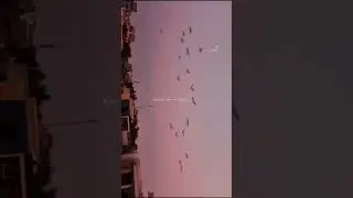 #cloudaesthetic #cloudscape #cloudysky #sky #bluesky #skyporn #skyline #husky #skylovers #instasky
