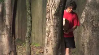 Farewell love song (Clipe) - Graveola