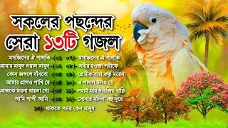 সকলের পছন্দনীয় ১৩টি মন প্রাণ উজাড় করা গজল | new gojol | gojol | bangla gojol | গজল | ghazal