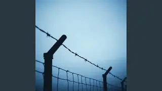 The Wire