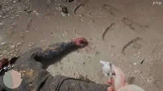 Red Dead caught within! Jon Bombo Live