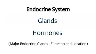 Endocrine  Glands  ,Hormones (Major endocrine glands -Functions and location #anatomy #humanbody 