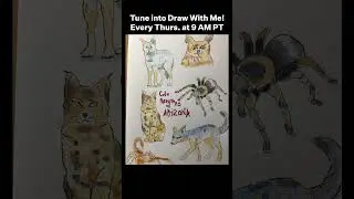 Last Week On Draw With Me: Cute Predators #sbsdrawwithme