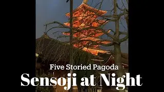 Asakusa Sensoji at Night