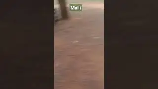 cricket at Tirupati