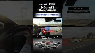 Wild Animal Crossing &mdash; Can AEB React Fast Enough?  #automobile #comparison #carshorts