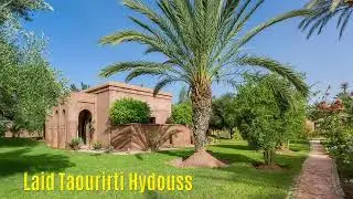 L aid taourirti remix hydouss - 2025 - العيد التاوريرتي روميكس حيدوس