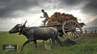 Rain affected Farmers not Given Proper Relief in Gujarat: Congress