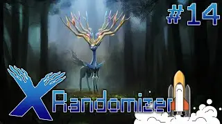 New Power, New Threats! The Team Levels Up ⚔️ | Pok&eacute;mon X Randomizer Nuzlocke Ep. 14