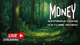 LIVE Money Affirmations 🌲 Forest Drone | Morning Forest Meditation Music