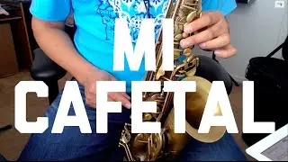 Mi Cafetal Los Jilgueros del Arroyo Sax Tutorial