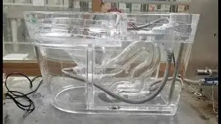 Leton Smart - Secondary flushing siphon action demonstration Smart Toilet