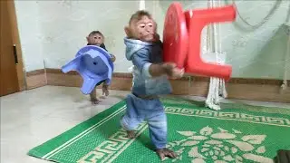 Smart Mimi Kuku helps Mom clean up so she can eat her favorite fruit