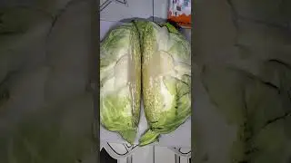 #cabbage #vegetables #shorts #youtubeshorts