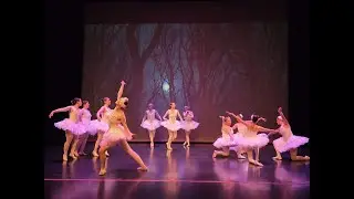 Swan Lake | Bunheads Adult Ballet School