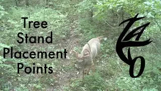 Tree Stand Placement on Public Land- Points