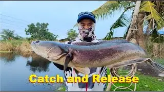 TOMAN Fishing Philippines, Giant Snakehead Fishing