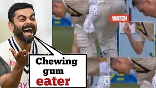 Marnus labuschagne ate chewing gum which was fall in pitch , Australia vs England