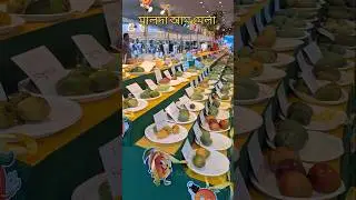 malda aam mela #aam #malda #best #trending #mela #maldacollege