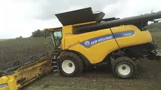 -La Cr9.90 a la moisson des féveroles 2023-🤠🇺🇸