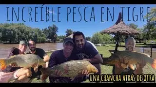 UN PIQUE ATRAS DE OTRO!!! INCREIBLE LAS BESTIAS QUE CLAVAMOS EN ESTE HERMOSO CAMPING EN TIGRE!!!!