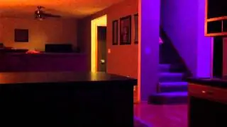 Philips Hue with Hue Disco app