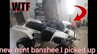 mint brand new 01 banshee
