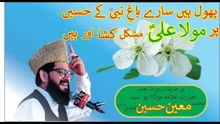 Beautiful Klam | Phool Hian Sary Bag e Nabi K Haseen |Pir Syed Muhammad Moin Hussain Chishti Sialvi