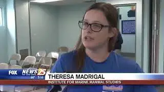 WXXV 25 Tracking sea turtles 1/10/20