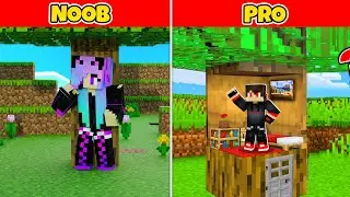 NOOB vs PRO: HIDE AND SEEK CHALLENGE