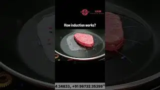 How Induction Works | Electromagnetic Induction Explained | Electrical Basics #automobile #electric