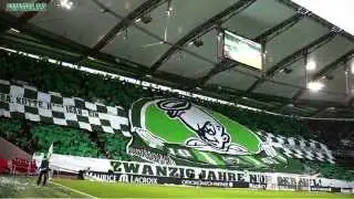 20 Jahre Green White Angels CHOREO - Wolfsburg vs. Berlin (22.02.2015)