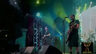 The Nixons 