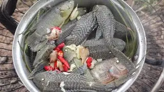 Find buffalo fish to cook It's delicious just one piece