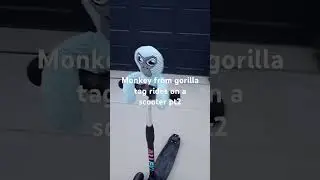 monkey from gorilla tag rides a scooter
