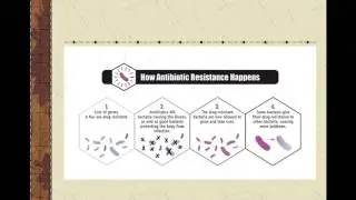Antibiotic Resistance video lecture 2017