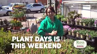 Join us for Plant Days at Ross Seed Chickasha