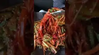 Would you EAT this SUPER SPICY SNAIL salad?