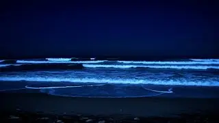 Midnight Ocean Whispers - 10 Hours of Deep Sleep Waves for Insomnia