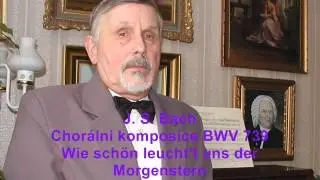 BWV739-Wie sch&ouml;n leucht't uns der Morgenstern