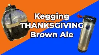 Kegging my BROWN ALE for Thanksgiving! 🦃🍻