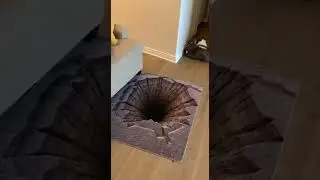 Cat Falls on 3D Carpet Loses Control#viral #funny #shortvideo