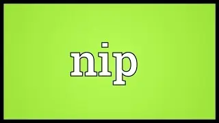 Nip Meaning
